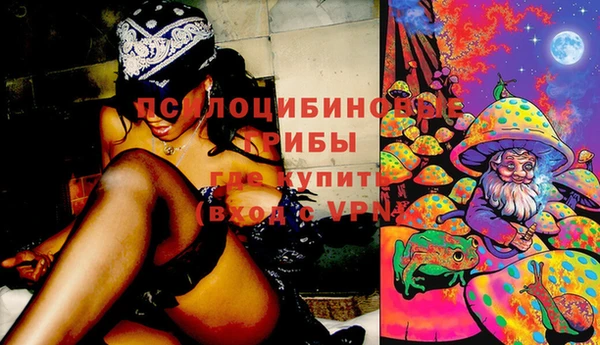 МДПВ Весьегонск