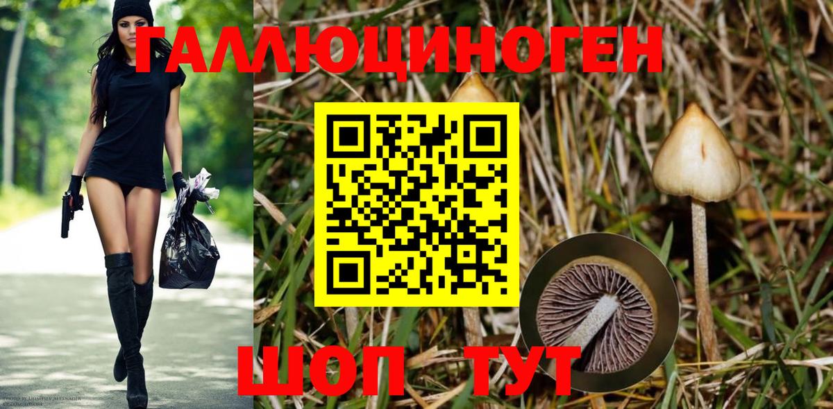 Галлюциногенные грибы Cubensis Луховицы