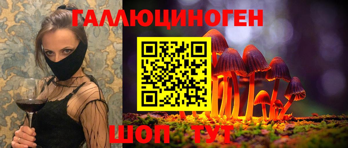 Галлюциногенные грибы Psilocybe  Вход с VPN  Луховицы 